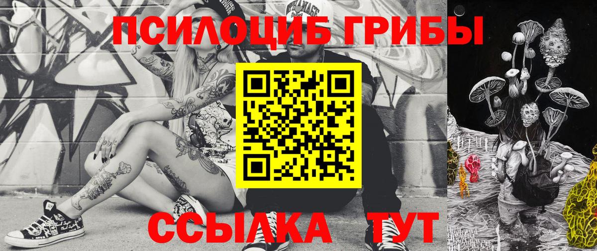Псилоцибиновые грибы Psilocybine cubensis Ялуторовск